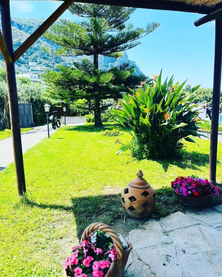 B&B L'Agapanto カプリ エクステリア 写真